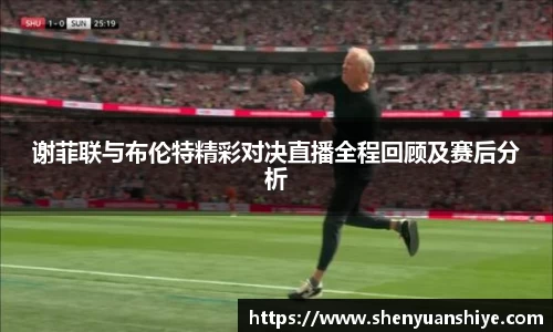 谢菲联与布伦特精彩对决直播全程回顾及赛后分析