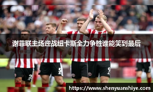 谢菲联主场迎战纽卡斯全力争胜谁能笑到最后